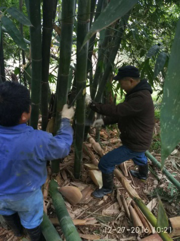 四水廠線路巡查 排除安全隱患