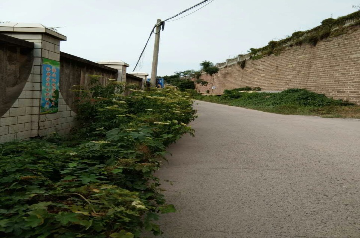 除草刷墻灑汗水，苗圃外貌換新顏