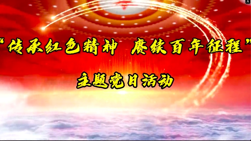 傳承紅色精神，賡續(xù)百年征程-共產(chǎn)黨員服務(wù)大隊(duì)主題黨日活動(dòng)